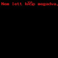 Családi nap / Familientag